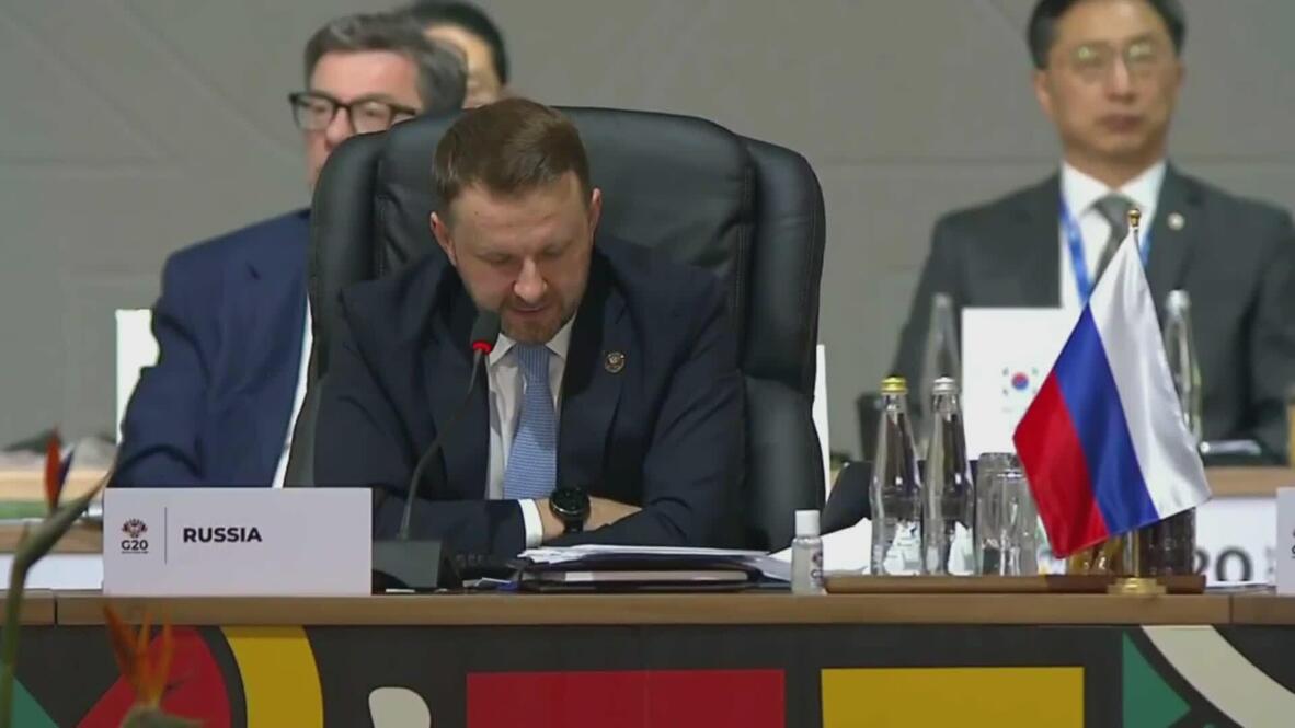 BRICS, Global South now 'dominant driver' of world's economic growth - Russia's Oreshkin at G20