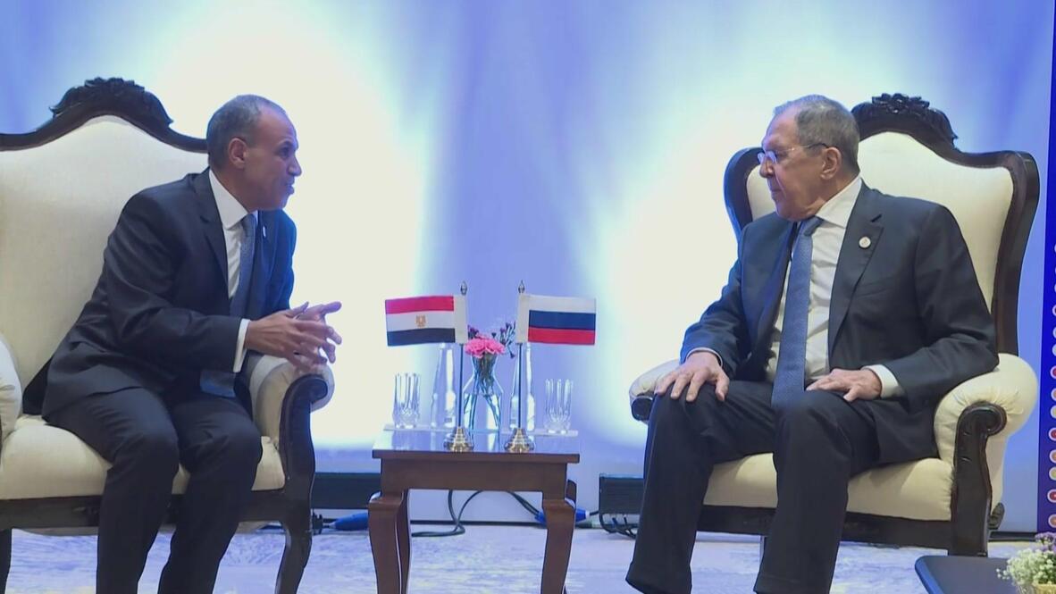 New Delhi encounter - Lavrov holds talks with Egyptian FM Abdelatty on sidelines of BRICS meeting