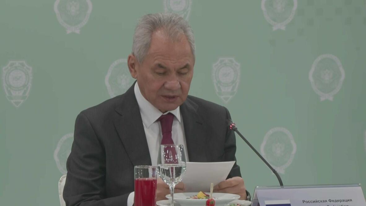 'I wish us all every success in our joint work!' - Shoigu at informal lunch for BRICS security council secretaries in Moscow region