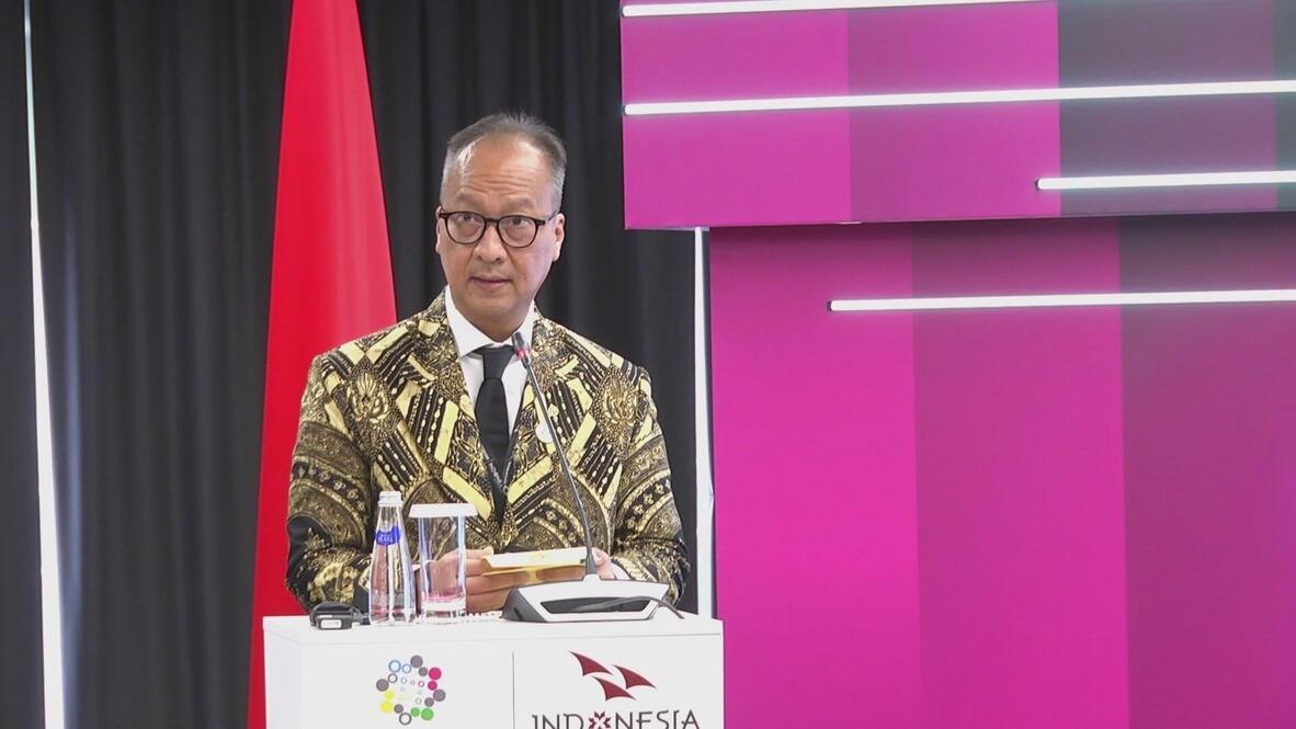 'Not merely a market!' - Indonesia's industry minister urges 'long-term co-operation' with Russia